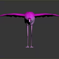 Pink Flamingo With Spread Wings Bowing Head And Reflection On Dark Surface 3d model