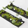 Long Strip Landscape Designs with Green Moss Small Plants Stones and Round Lights