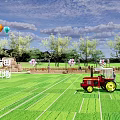 Rural Landscape With Lush Rice Fields Red Tractor Hot Air Balloons Scarecrow And Green Trees
