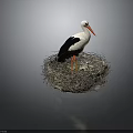 Stork With White And Black Plumage Standing In Natural Nest On Dark Background