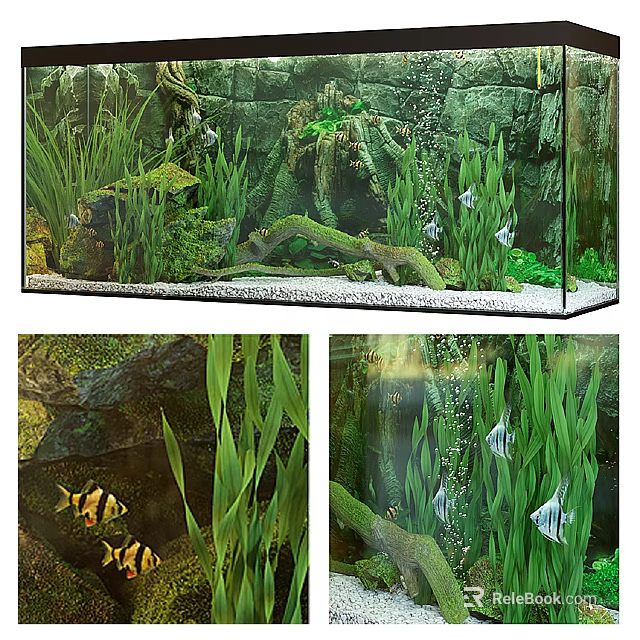 Aquarium Fish Tank With Green Aquatic Plants Decorative Rocks And Swimming Fish 3d model 