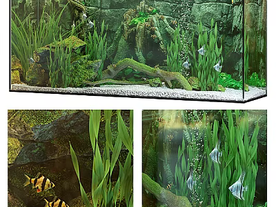 Aquarium Fish Tank With Green Aquatic Plants Decorative Rocks And Swimming Fish 3d model