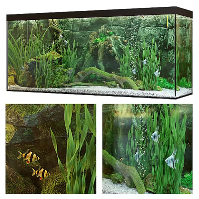 Fish Tank Water Grass Landscape Fish Tank Aquarium Fish Tank 3d model