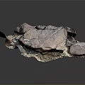 Wood and Stone Material Samples Featuring Varied Shapes Textures and Labels
