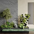 Indoor Plant Combination Against Gray Textured And Beige Walls With Mirror And Marble Countertop Planter