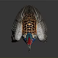 Colorful Bird with Red Crest Blue Neck Green Yellow Chest Spreading Wings Against Gray Background