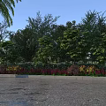 Green Shrubs with Colorful Flowers in Front and Lush Trees on Gravel Ground