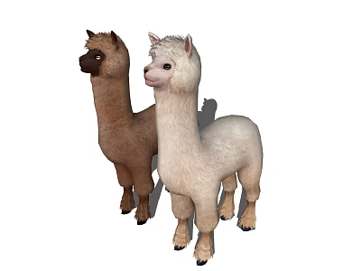 Two Llamas One Brown And One White Standing Together On White Background 3d model
