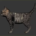 Striped Cat With Green Eyes Standing On Smooth Surface Against Gray Background 3d model