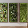 Indoor Vertical Green Walls with Three Panel Succulents Ferns and Moss in Golden Frames