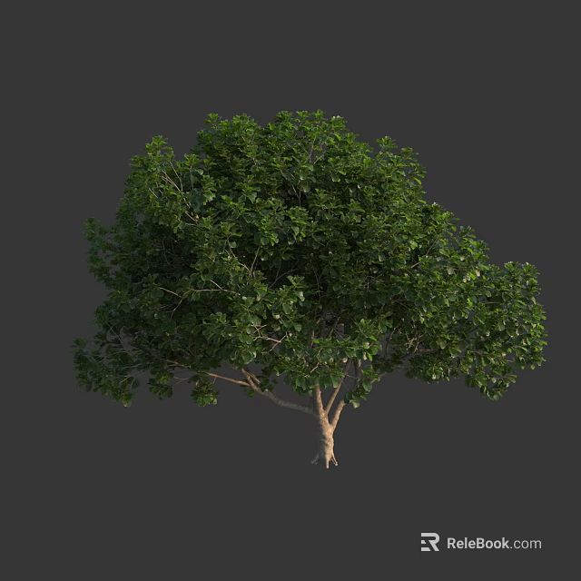 Lush Green Arbor Tree With Dense Foliage Sturdy Trunk And Balanced Crown 3d model
