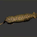 Leopard 3D Model With Yellow And Black Spots Standing On Black Background With Reflection 3d model