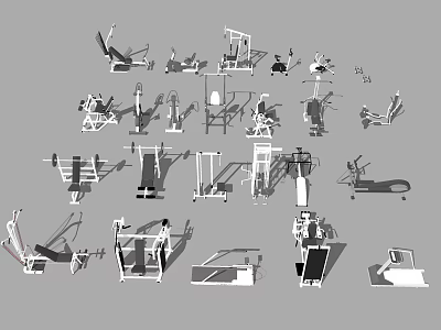 Essential Home Gym Sports Equipment Including Treadmill Dumbbells Weight Racks And Exercise Benches 3d model