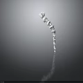 3D Rendered Human Spine Skeletal Model With Vertebrae Structure And Details