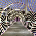 Modern Woven Curved Bridge Over Water With Evening Lighting And Green Surroundings