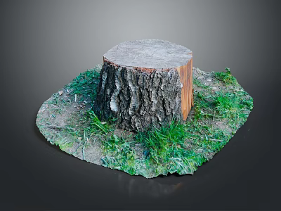 Tree Stump of Arbor with Rough Surface and Surrounding Green Grass 3d model