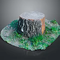 Tree Stump of Arbor with Rough Surface and Surrounding Green Grass