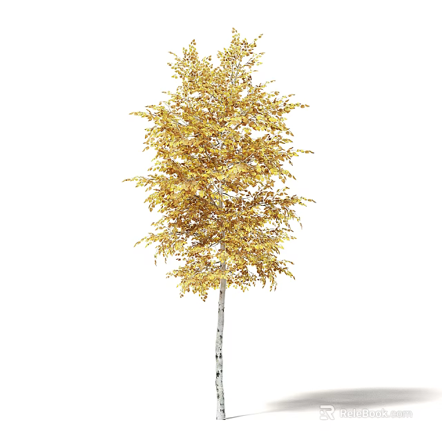 Elegant Arbor With Golden Leaves And White Trunk In Autumn Natural Scenery 3d model 