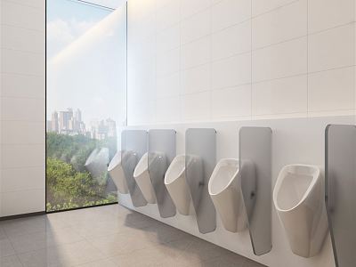 Modern Toilet Public Toilet Urinal model