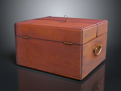 Vintage Medical Device Storage Wooden Case With Metal Latch And Ring Handle 3d model