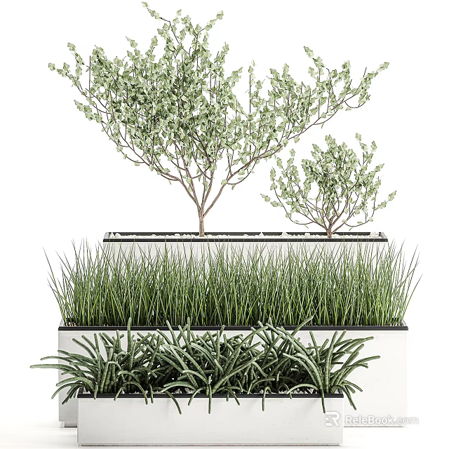 Bonsai Potted Plants With Small Trees Grasses And Succulents In Layered Containers 3d model 