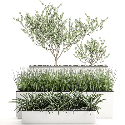 Bonsai Potted Plants With Small Trees Grasses And Succulents In Layered Containers 3d model