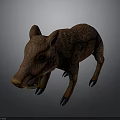 Wild Boar 3D Model With Brown Fur And Sharp Tusks In Standing Posture
