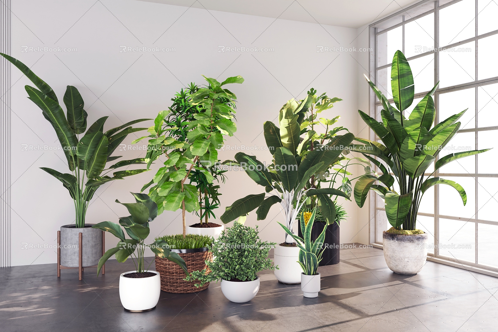 Indoor potted green plant potted plant combination 3d model