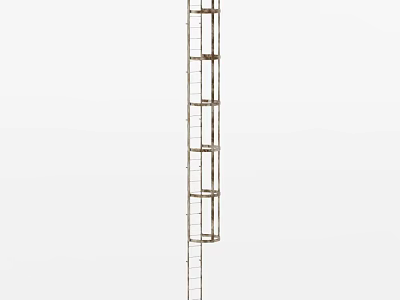 Sturdy Metal Ladder with Multiple Rungs and Vertical Support Frame Design 3d model