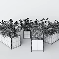 Bonsai Potted Plants With White Red Flowers Green Leaves In Orange Wooden And Gray Planters