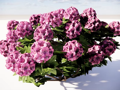 Beautiful Purple Flowers With Green Leaves Against Blue Sky And White Clouds 3d model