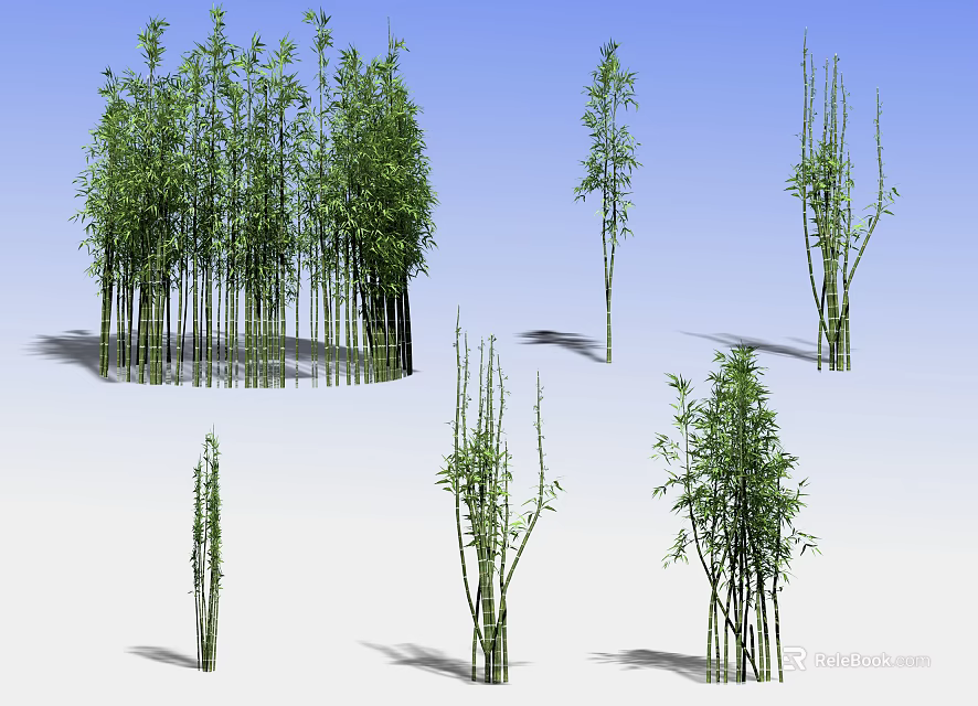 Various Bamboo Plants With Green Foliage And Slender Stems In Natural Scene 3d model 