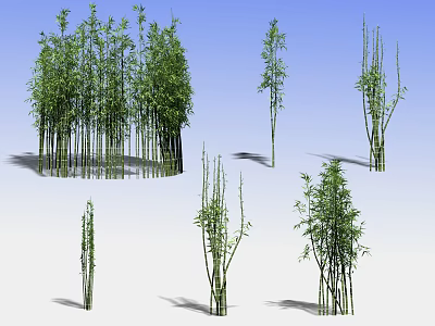 Various Bamboo Plants With Green Foliage And Slender Stems In Natural Scene 3d model