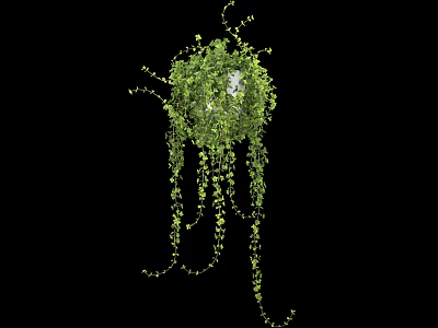 Lush Green Vines With Hanging Tendrils And Cascading Leaves Design 3d model
