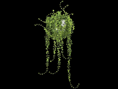 Lush Green Vines With Hanging Tendrils And Cascading Leaves Design 3d model