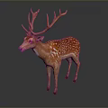 Brown Deer With Large Antlers Brown Coat White Spots Standing On Dark Background With Reflection