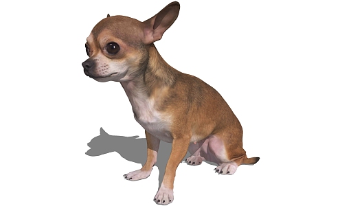 Modern Dog Animal Dog 3d model