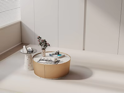 Modern Sofa Coffee Table Set With Round Coffee Table Side Table And Decorative Items 3d model