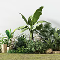 Lush Mixed Green Plants On Grass Ground With Banana Leaves Palm And White Flowers