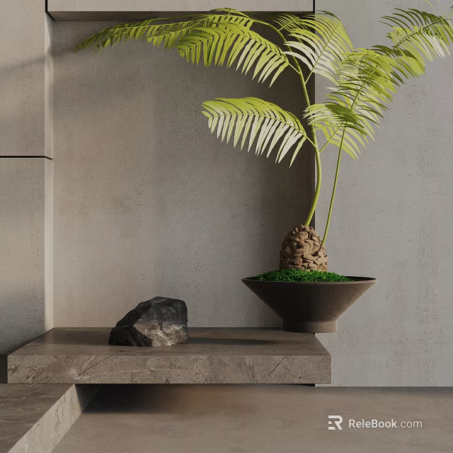 Bonsai Plant With Green Leaves On Gray Countertop Near Stone And Gray Wall 3d model 