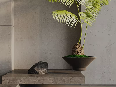 Bonsai Plant With Green Leaves On Gray Countertop Near Stone And Gray Wall 3d model
