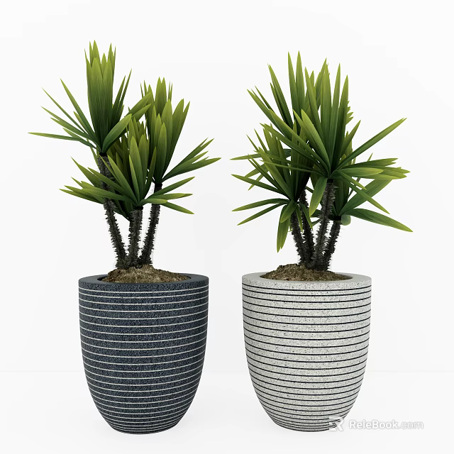Two Bonsai Potted Plants With Dark And Light Striped Pots And Lush Green Leaves 3d model 