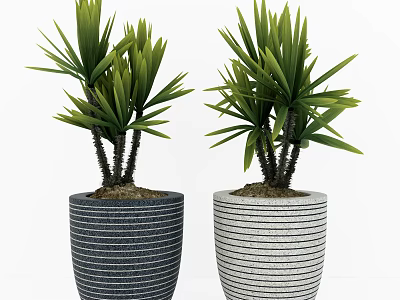 Two Bonsai Potted Plants With Dark And Light Striped Pots And Lush Green Leaves 3d model