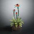 Indoor Plant With Lush Green Leaves And Colorful Flowers In Brown Ceramic Pot