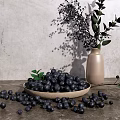 Fresh Blueberries in Bowl with Scattered Berries and Green Foliage in Vase on Gray Surface