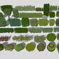 Diverse Decorative Shrubs Including Trimmed Hedges Rounded Bushes and Colorful Foliage for Garden Design