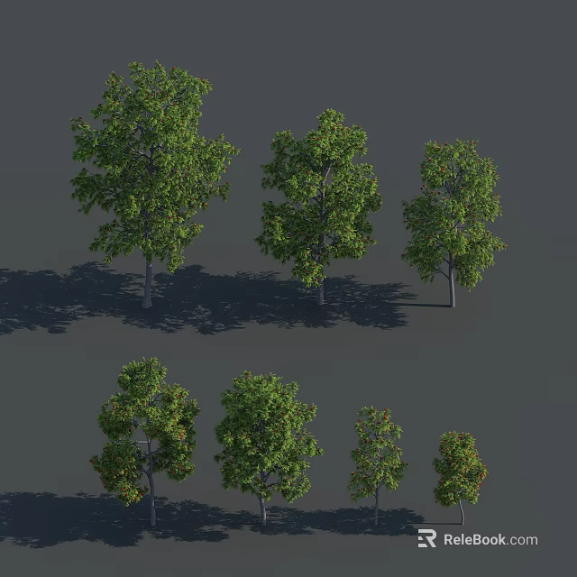 Different Sizes of Green Leafy Trees with Trunks and Shadows on Gray Background 3d model 