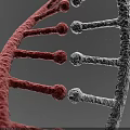 Advanced Medical Device for DNA Double Helix Structure Analysis and Research 3d model