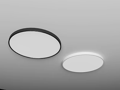 Two Round Ceiling Lights With Black And White Frames In Modern Design 3d model