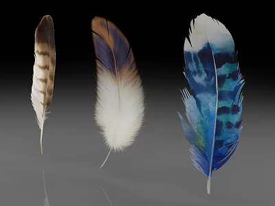 Colorful Decorative Feathers With Brown White And Blue Patterns On Gray Background 3d model